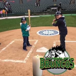 Meet your Posher, Liska